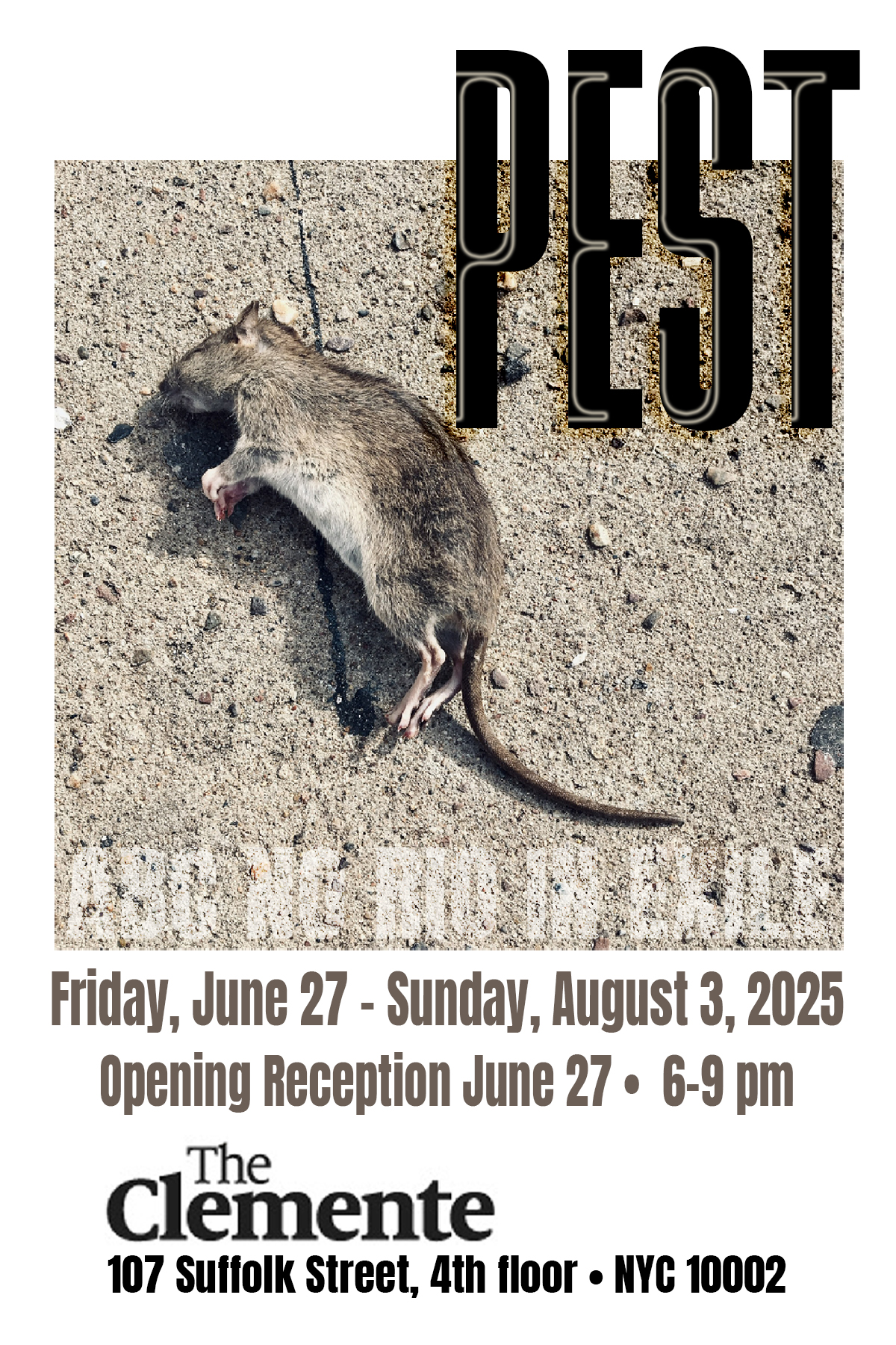 Flyer for the "Pest" exhibition featuring a photograph of a dead rat, accompanied by detailed exhibition information.